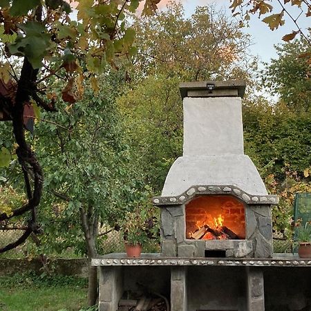 Къща За Гости Ягода Saparewa Banja Zewnętrze zdjęcie