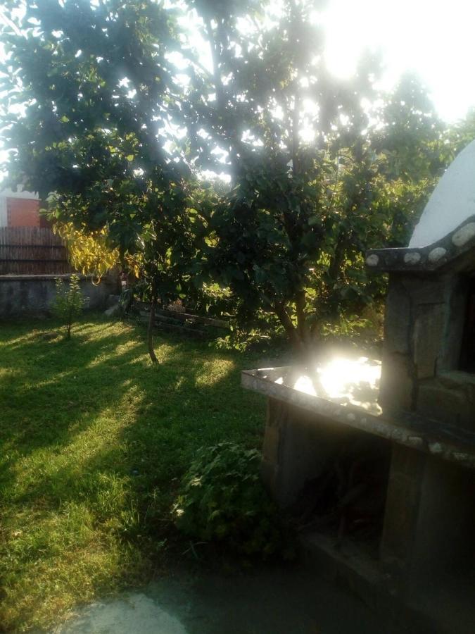 Къща За Гости Ягода Saparewa Banja Zewnętrze zdjęcie