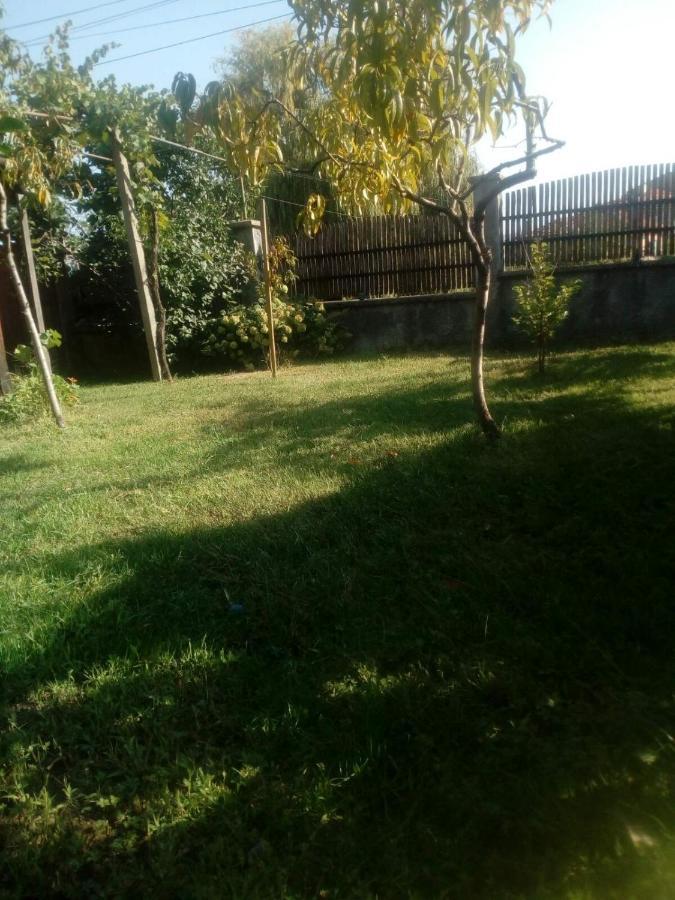 Къща За Гости Ягода Saparewa Banja Zewnętrze zdjęcie
