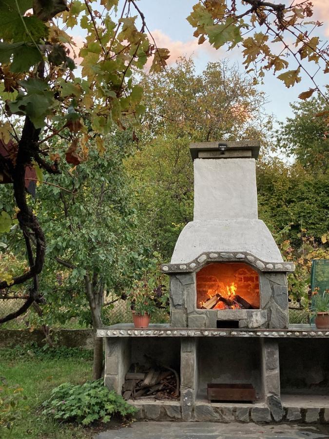 Къща За Гости Ягода Saparewa Banja Zewnętrze zdjęcie